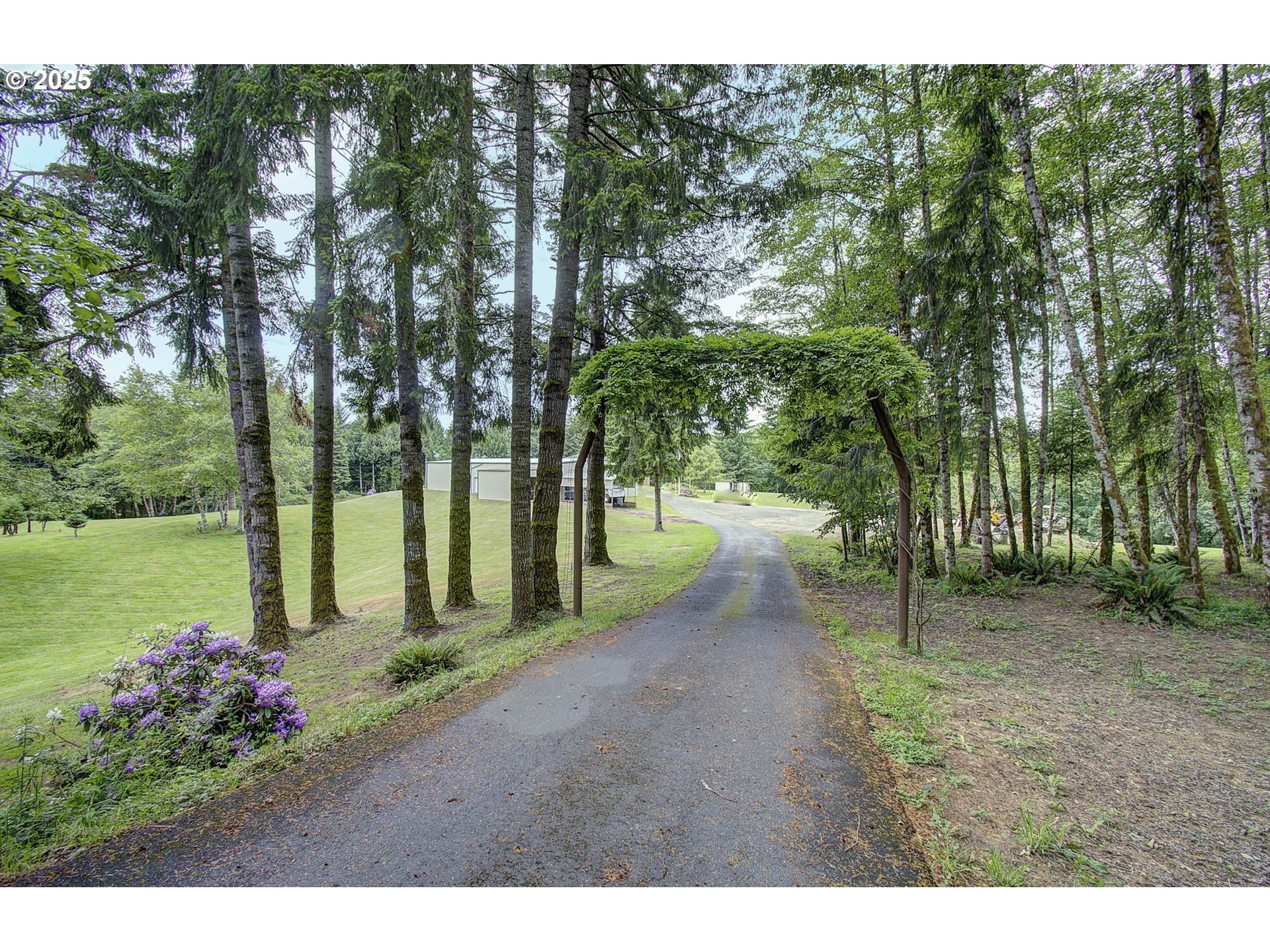 18229 Haven Acres Road Clatskanie, OR 97016 - Photo 5 of 45 a view of a park with large trees