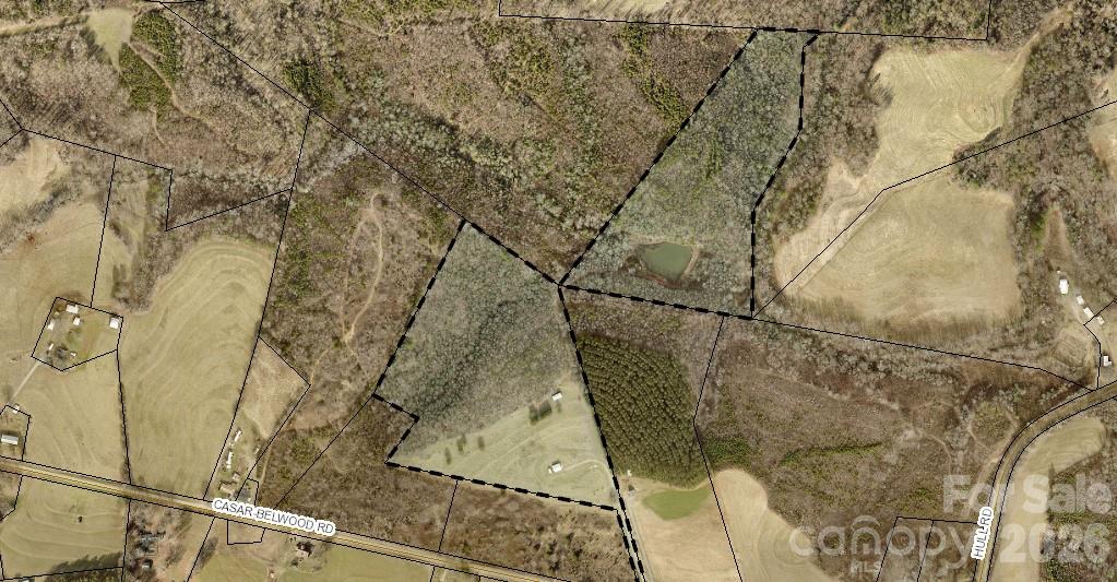 101 Hull Road Casar, NC 28020 - Photo 20 of 25 a picture of a tree