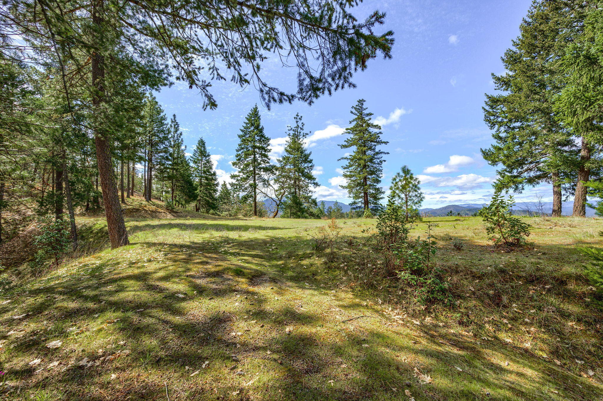 820 South Espey Road Grants Pass, OR 97527 - Photo 14 of 25 14-web-or-mls-ApxSER (14)