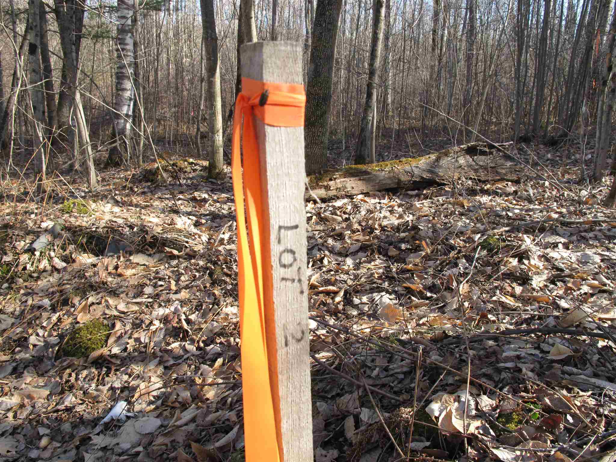 Lot 2 Mirror Lake Road, Unit LOT 2 Berlin, VT 05602 - Photo 14 of 23 Gallery Image 14