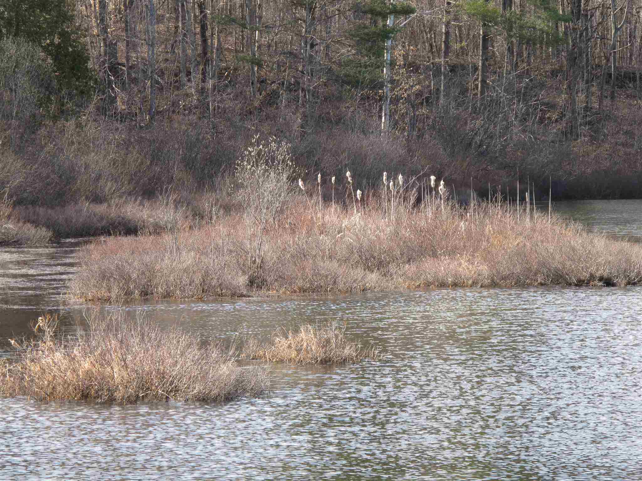 Lot 2 Mirror Lake Road, Unit LOT 2 Berlin, VT 05602 - Photo 23 of 23 Gallery Image 23