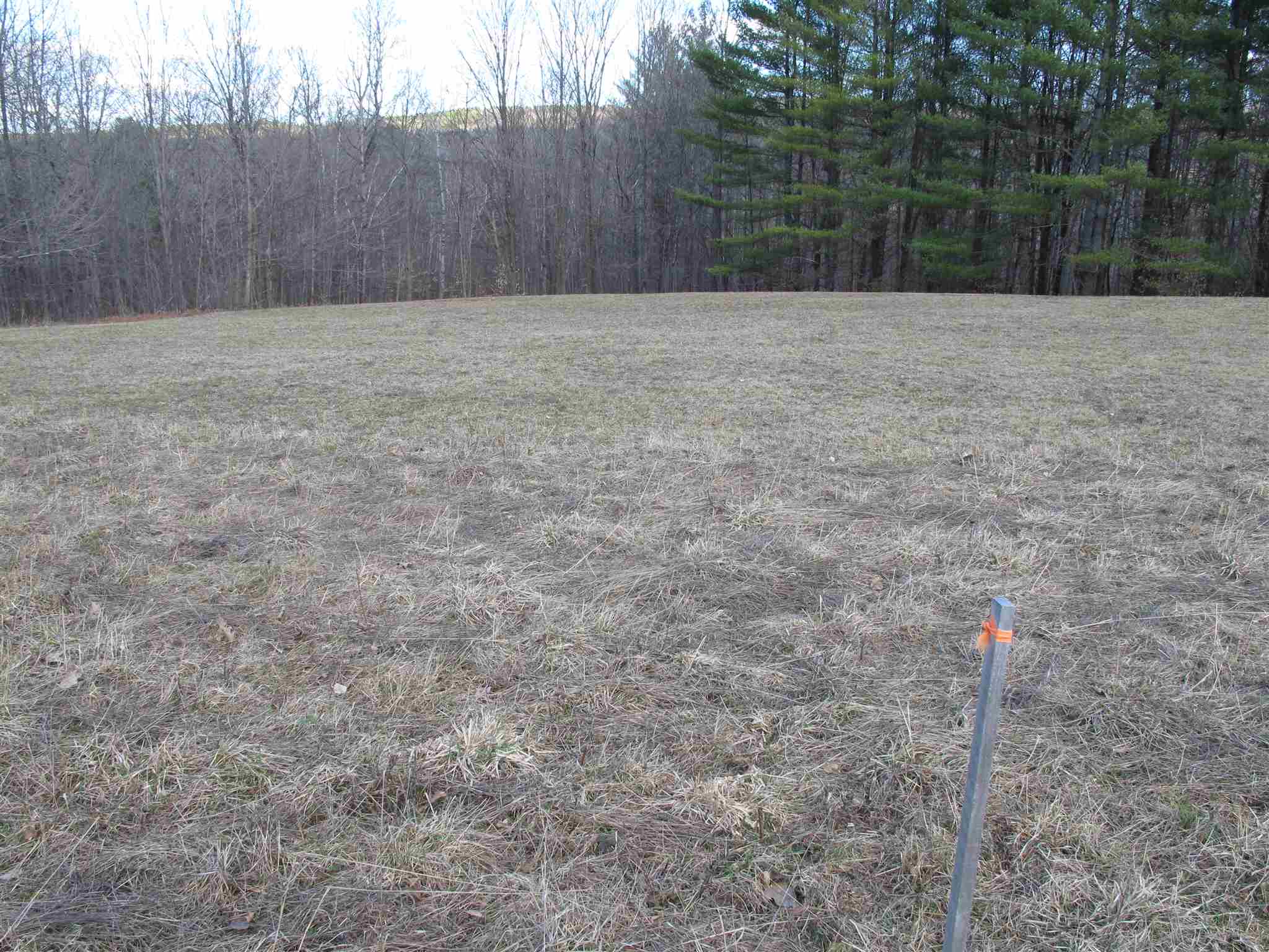 Lot 2 Mirror Lake Road, Unit LOT 2 Berlin, VT 05602 - Photo 4 of 23 Gallery Image 4