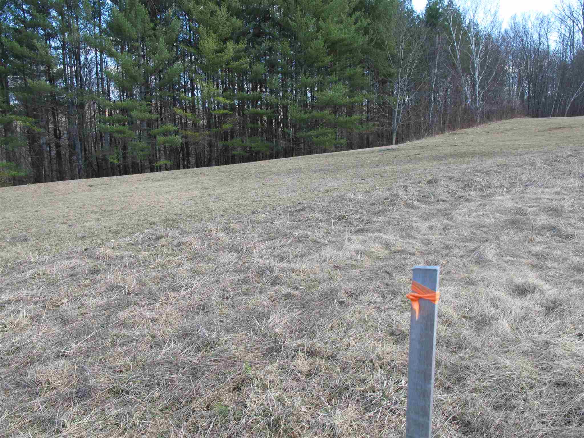 Lot 2 Mirror Lake Road, Unit LOT 2 Berlin, VT 05602 - Photo 5 of 23 Gallery Image 5