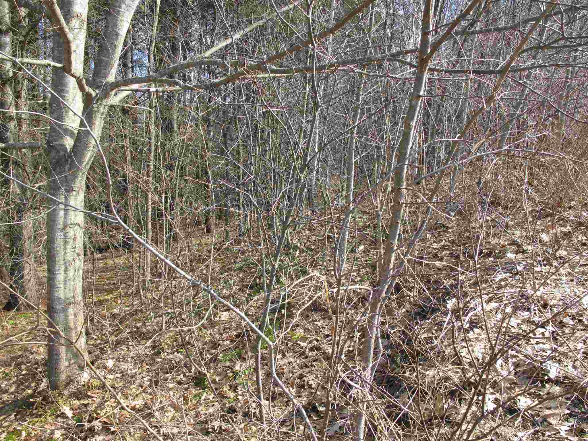Lot 2 Mirror Lake Road, Unit LOT 2 Berlin, VT 05602 - Photo 7 of 23 Gallery Image 7