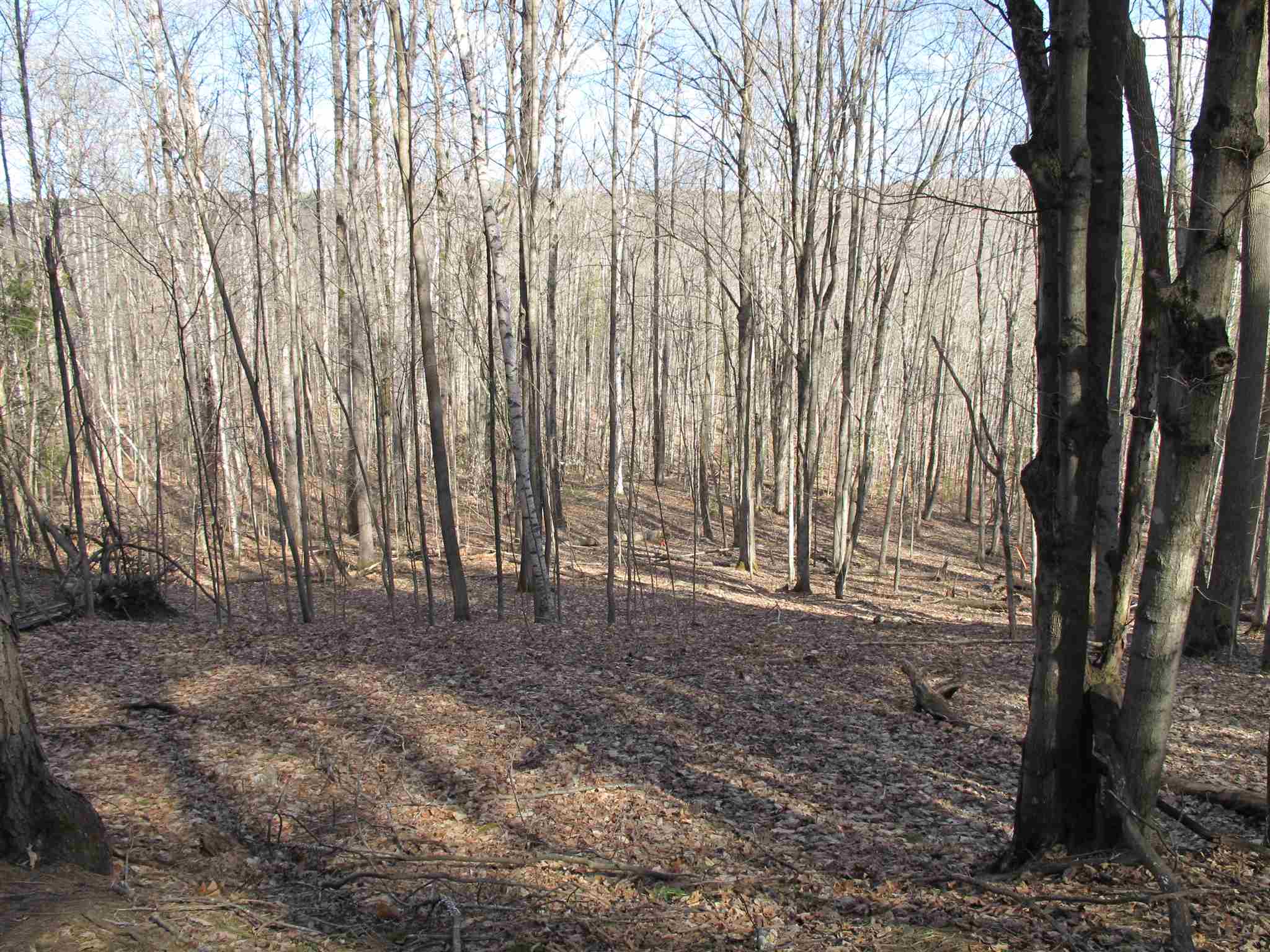 Lot 2 Mirror Lake Road, Unit LOT 2 Berlin, VT 05602 - Photo 8 of 23 Gallery Image 8