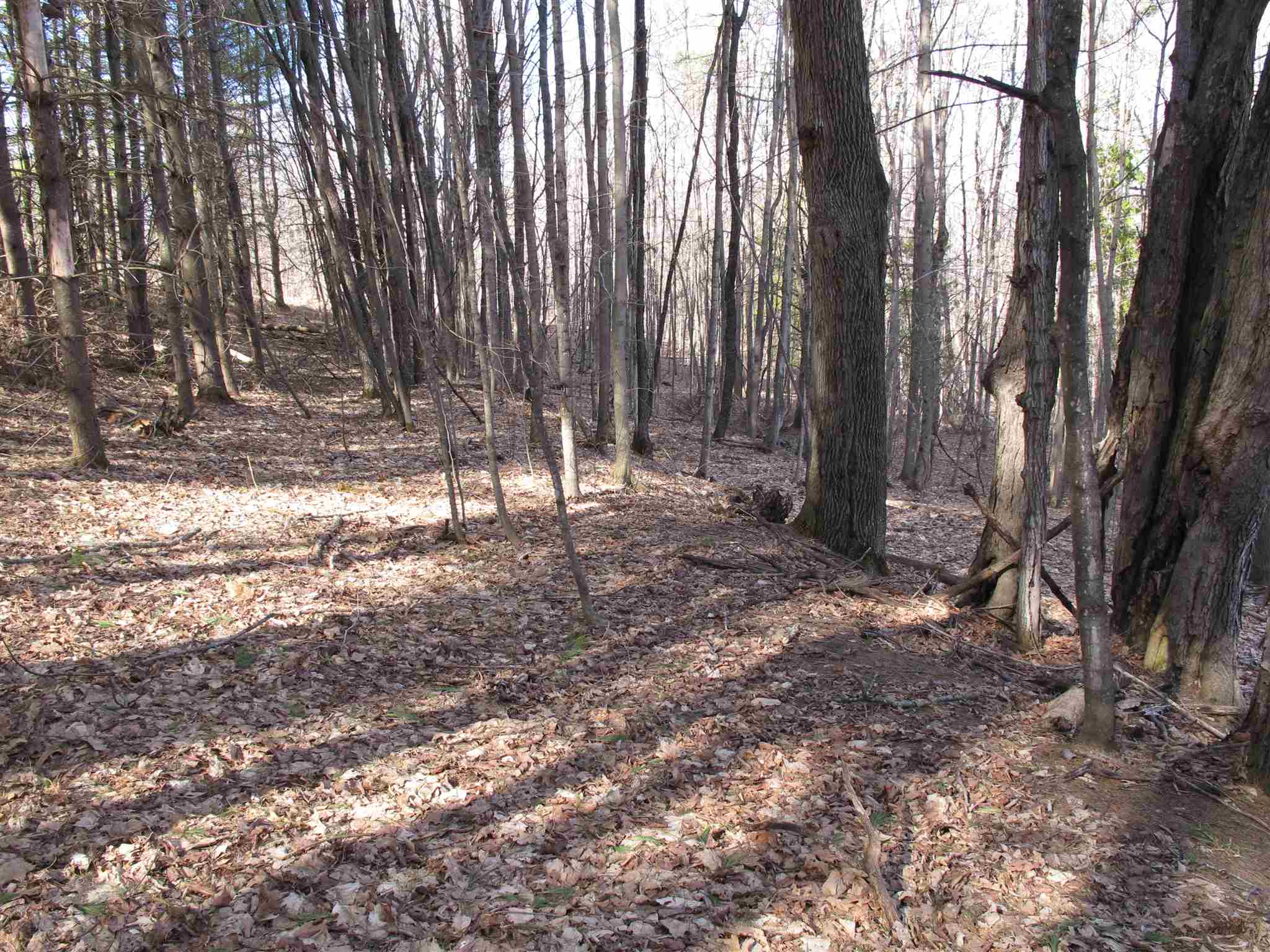Lot 2 Mirror Lake Road, Unit LOT 2 Berlin, VT 05602 - Photo 9 of 23 Gallery Image 9