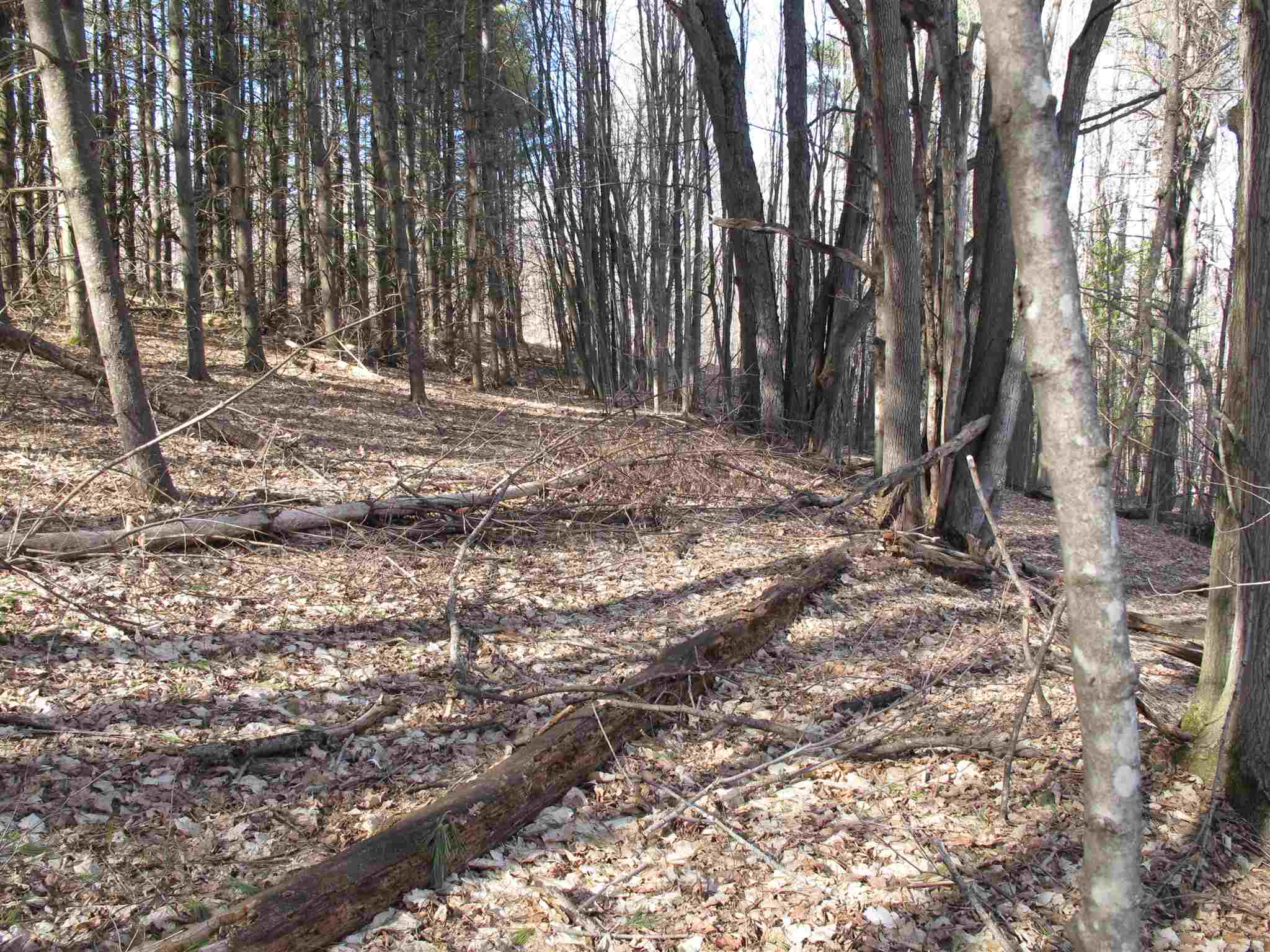 Lot 2 Mirror Lake Road, Unit LOT 2 Berlin, VT 05602 - Photo 10 of 23 Gallery Image 10