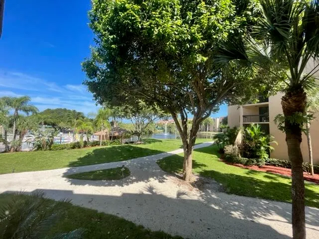 a view of a garden with a tree