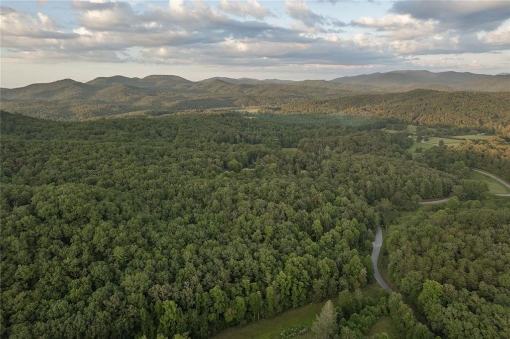 140 Black Oaks Road Cherry Log, GA 30522 - Photo 14 of 50 a view of an mountain range with lush green forest