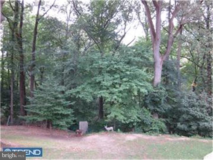 171 Bortondale Road Media, PA 19063 - Photo 11 of 25 Gallery Image 11
