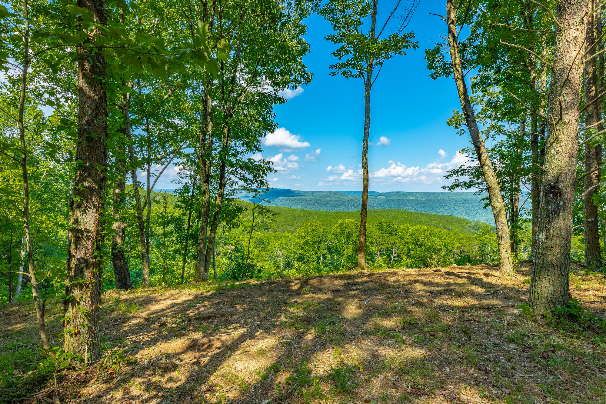 0 High Ground Road, Unit 2222 Guild, TN 37340 - Photo 5 of 110 0 High Ground Road Lot 2222 HD-66