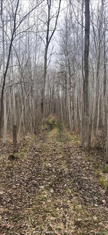 0 North 11 Mile Rd Mount Pinconning, MI 48650 - Photo 11 of 13