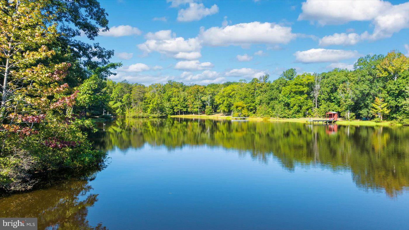 18 Turtle Street Gum Spring, VA 23065 - Photo 44 of 56