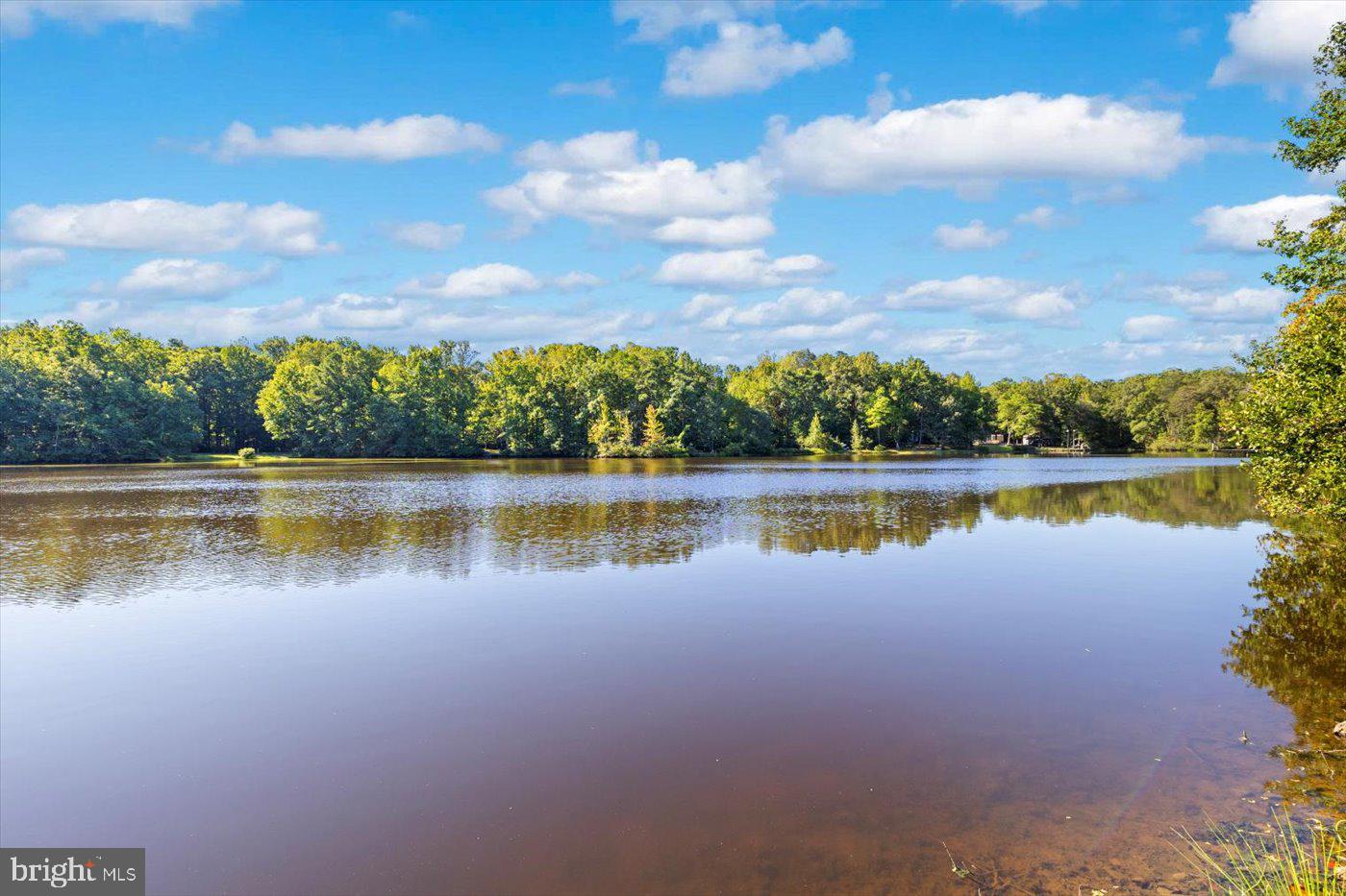 18 Turtle Street Gum Spring, VA 23065 - Photo 54 of 56
