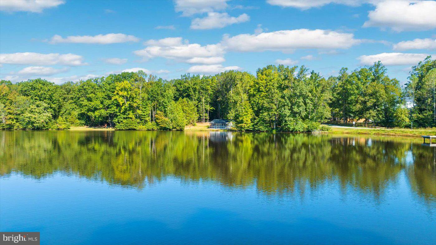 18 Turtle Street Gum Spring, VA 23065 - Photo 7 of 56