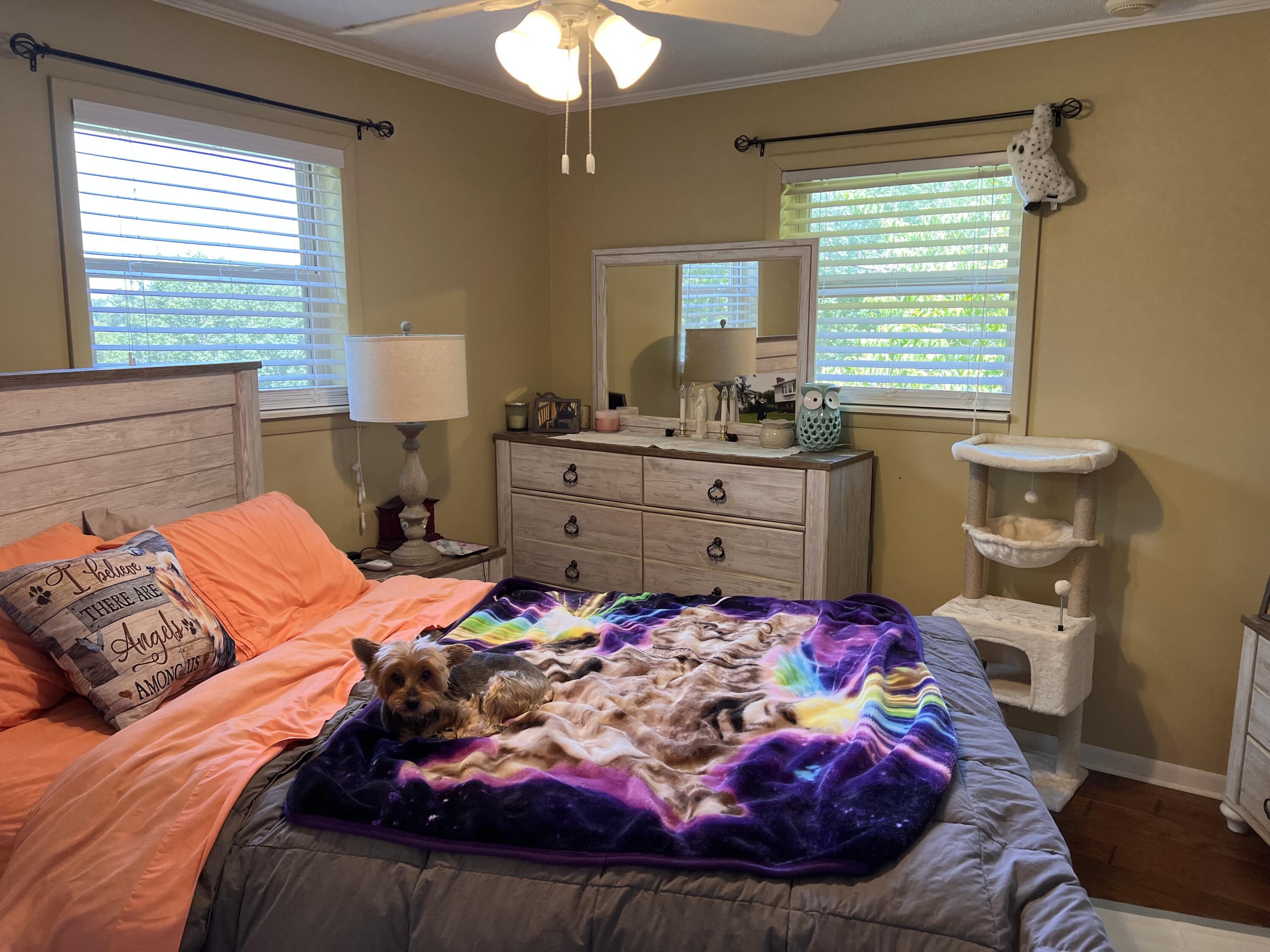 200 Laurel Drive Spring City, TN 37381 - Photo 14 of 36 IMG_0993