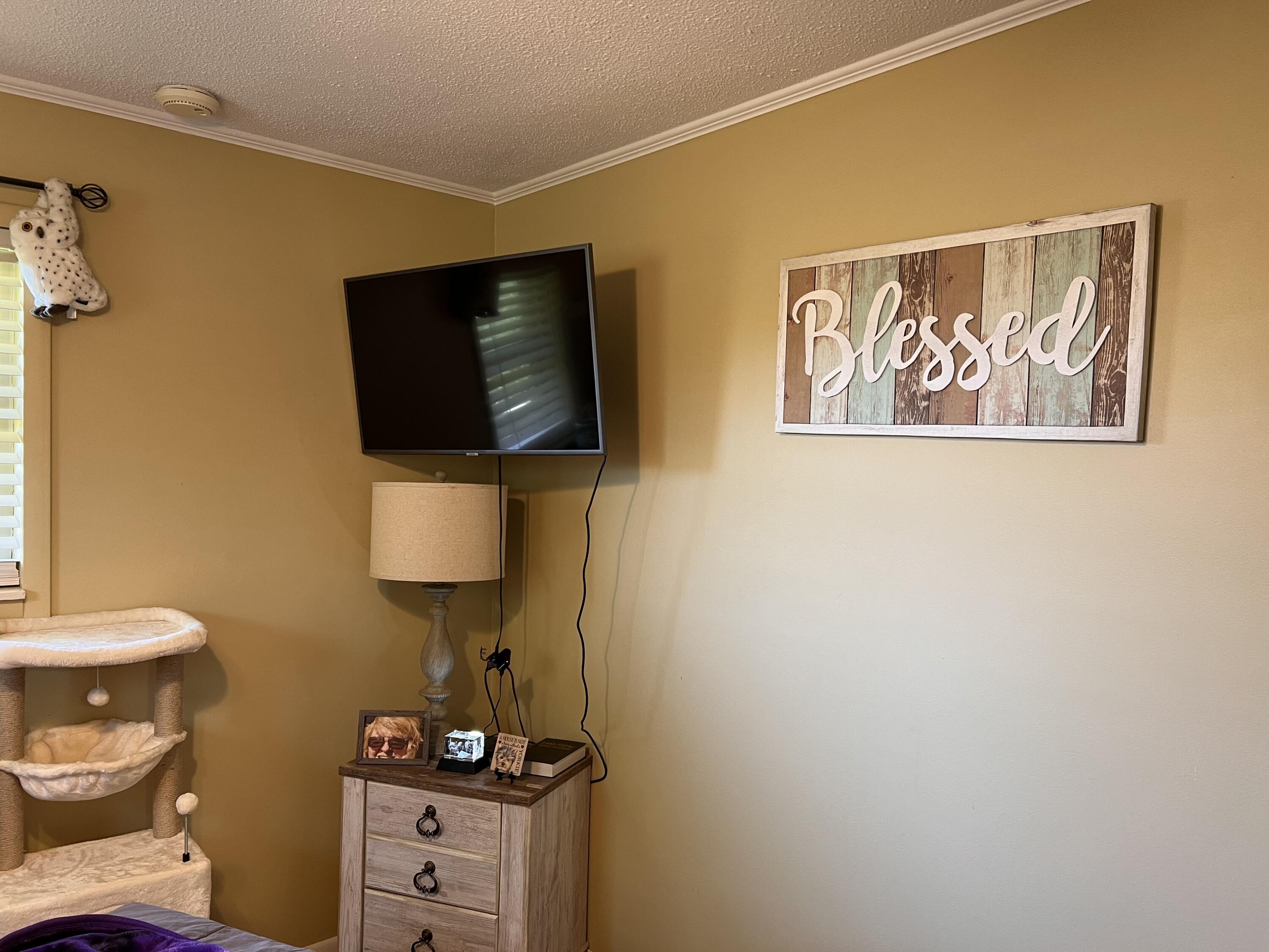 200 Laurel Drive Spring City, TN 37381 - Photo 15 of 36 IMG_0994