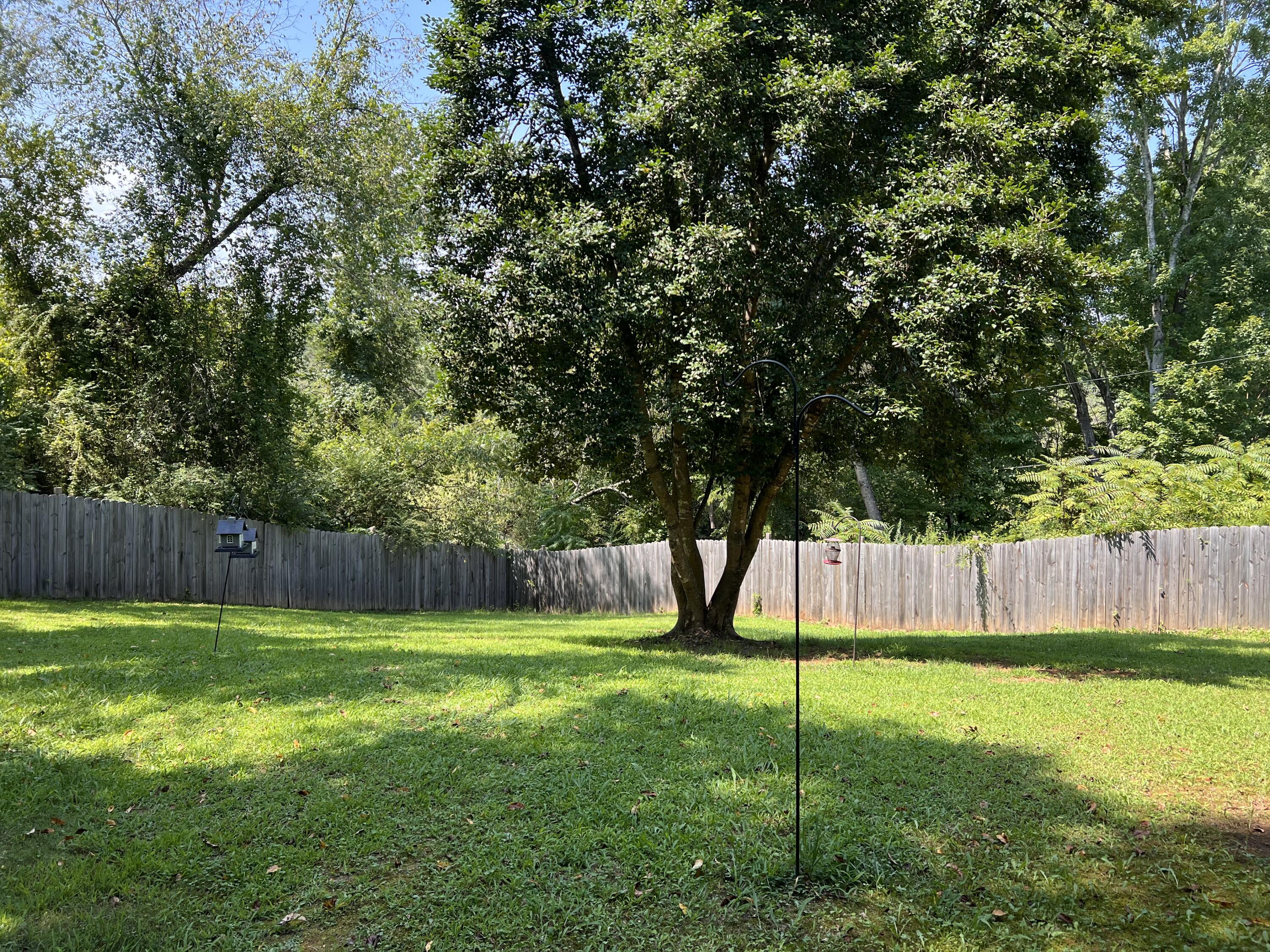 200 Laurel Drive Spring City, TN 37381 - Photo 26 of 36 IMG_1001