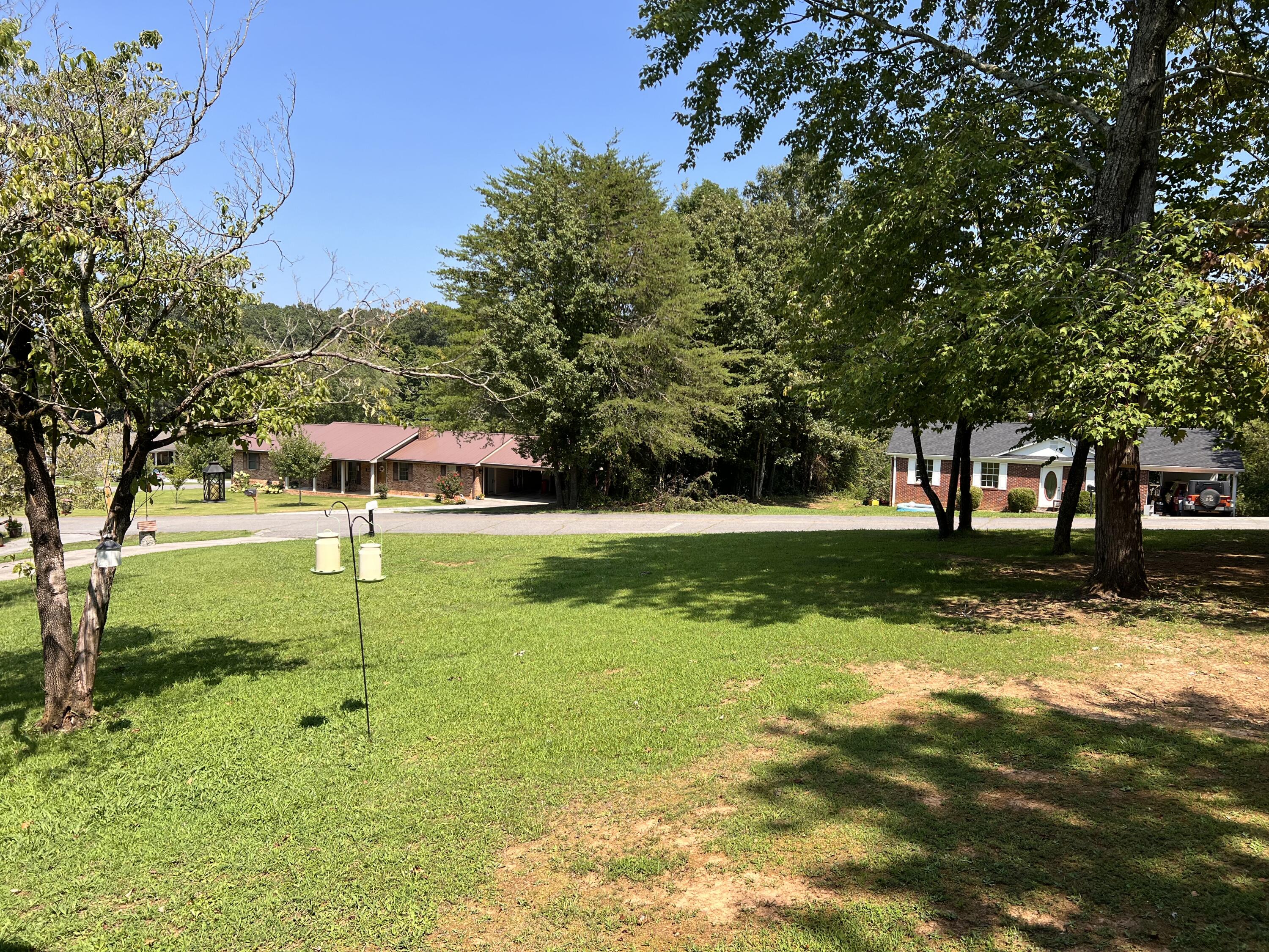 200 Laurel Drive Spring City, TN 37381 - Photo 28 of 36 IMG_1019