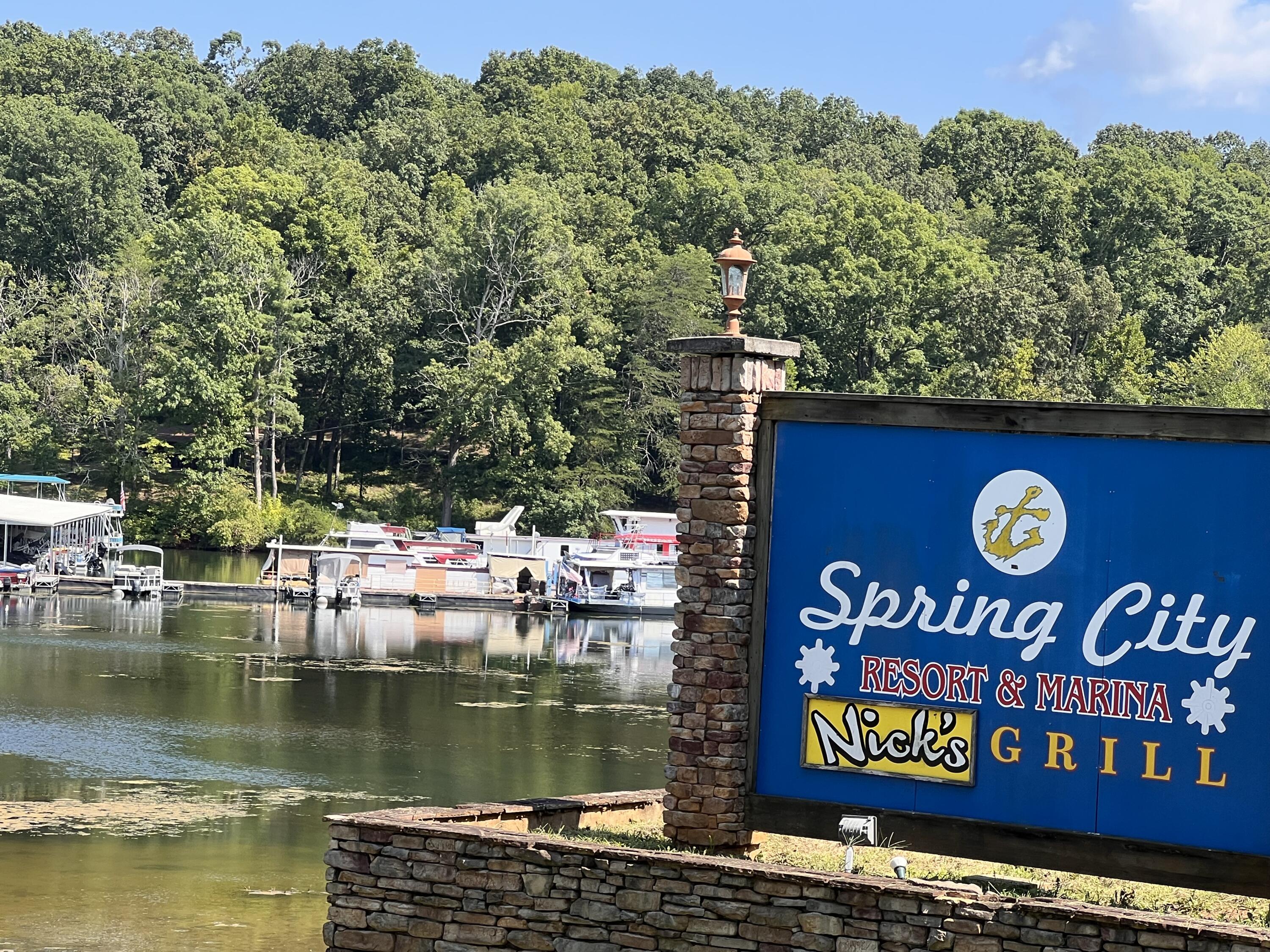 200 Laurel Drive Spring City, TN 37381 - Photo 35 of 36 IMG_1041