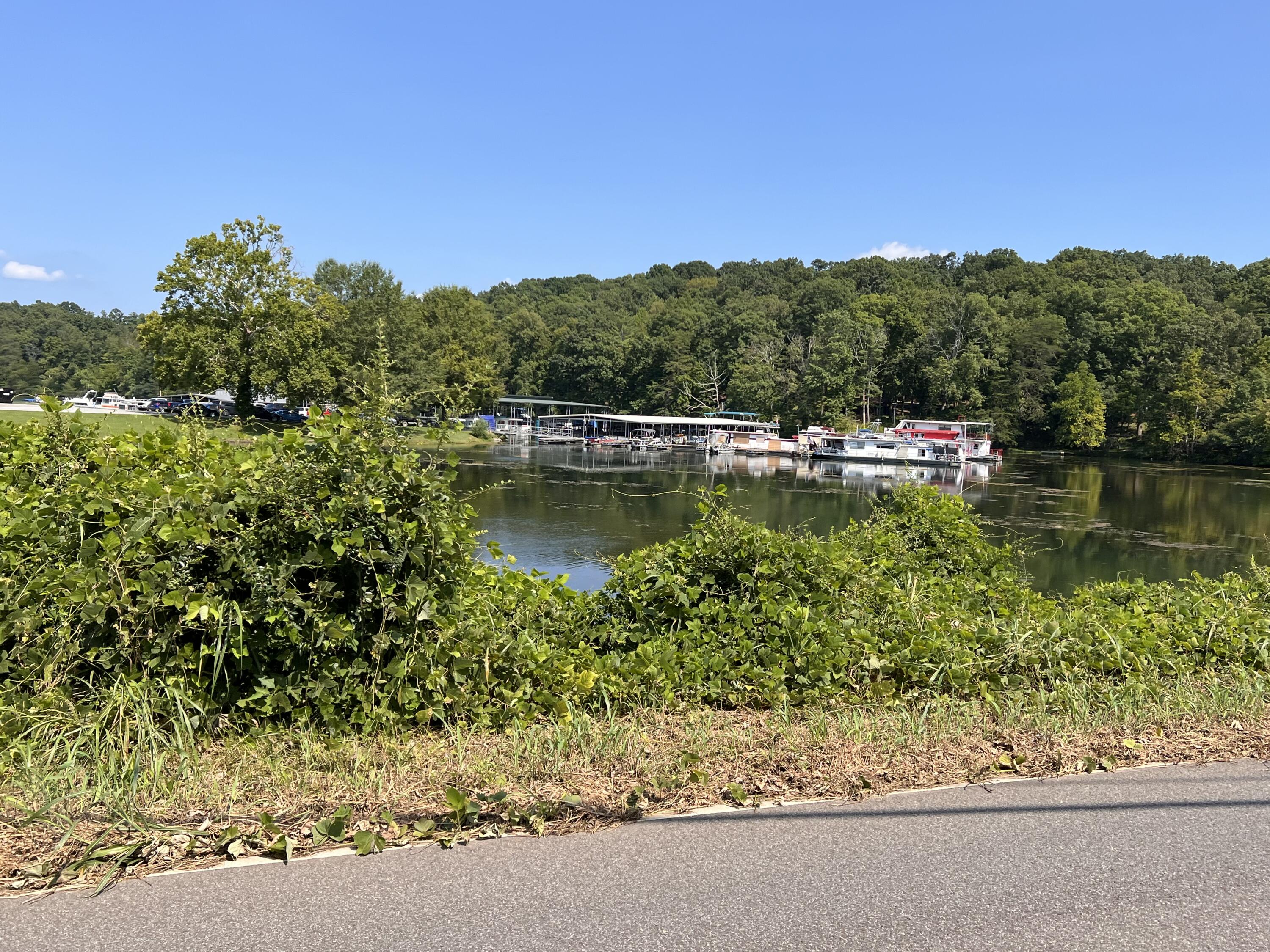 200 Laurel Drive Spring City, TN 37381 - Photo 36 of 36 IMG_1043