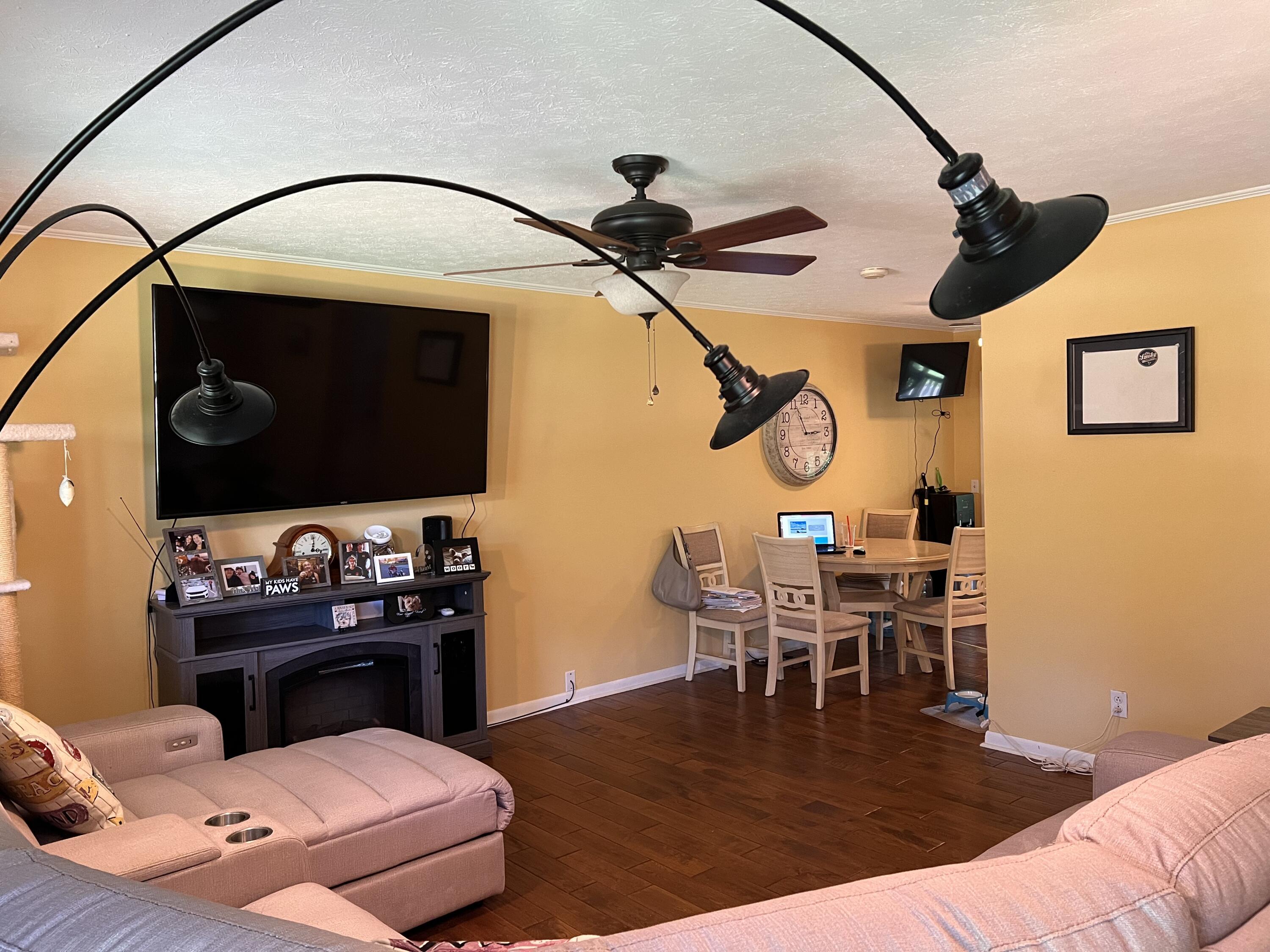 200 Laurel Drive Spring City, TN 37381 - Photo 5 of 36 IMG_0988