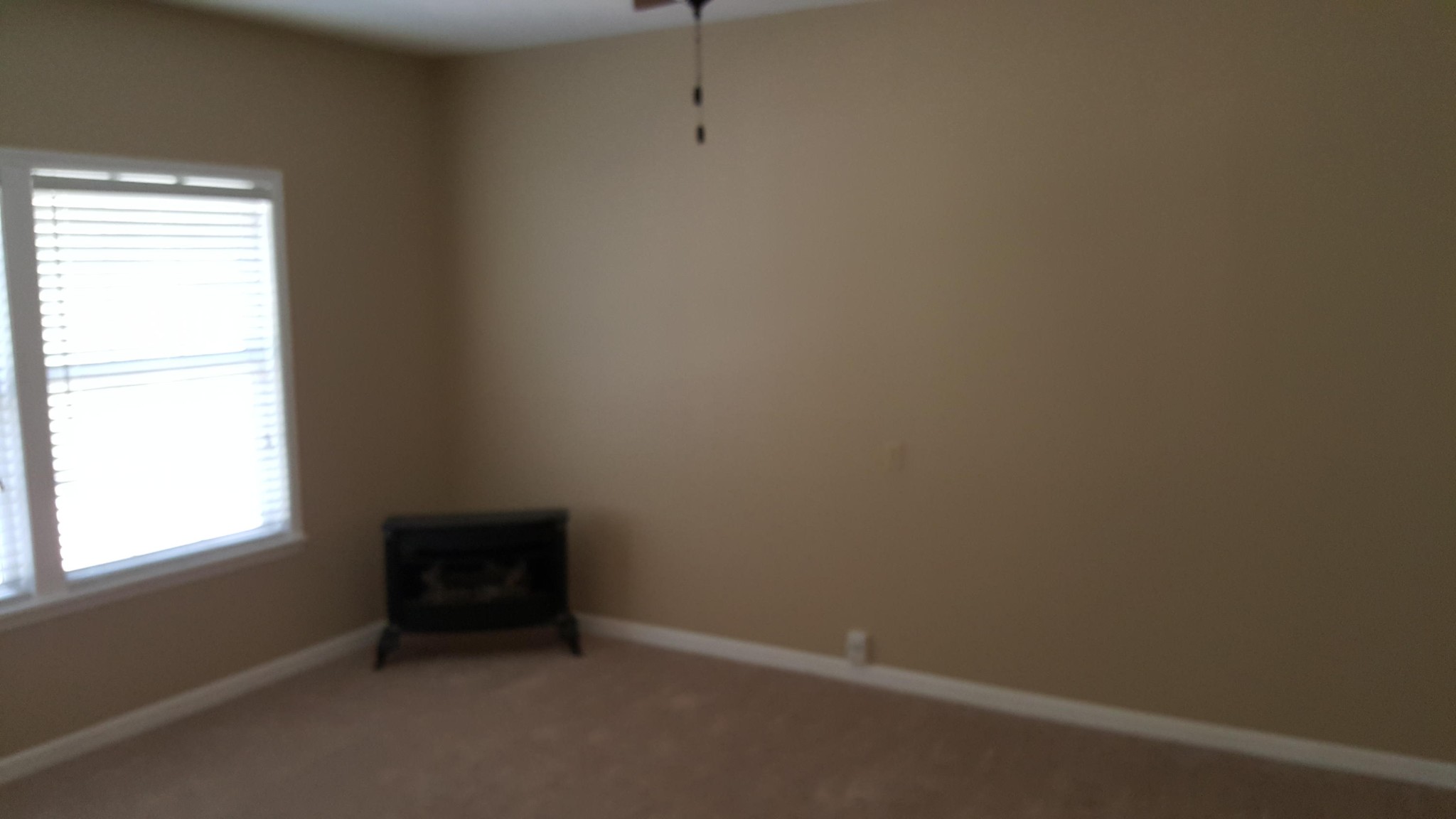 272 Walnut Grove Road Kingston, TN 37763 - Photo 9 of 29 Gallery Image 9