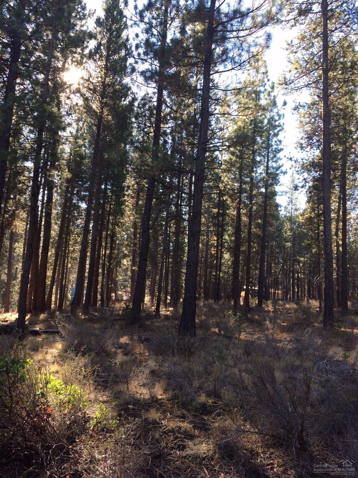 16857 Indio Road Bend, OR 97707 - Photo 2 of 4 Gallery Image 2