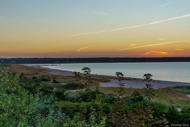 a view of a yard with an ocean view