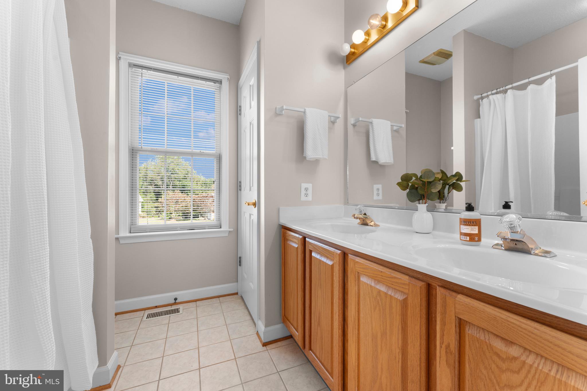 19065 Stallion Road Culpeper, VA 22701 - Photo 21 of 40 a bathroom with a sink and a mirror