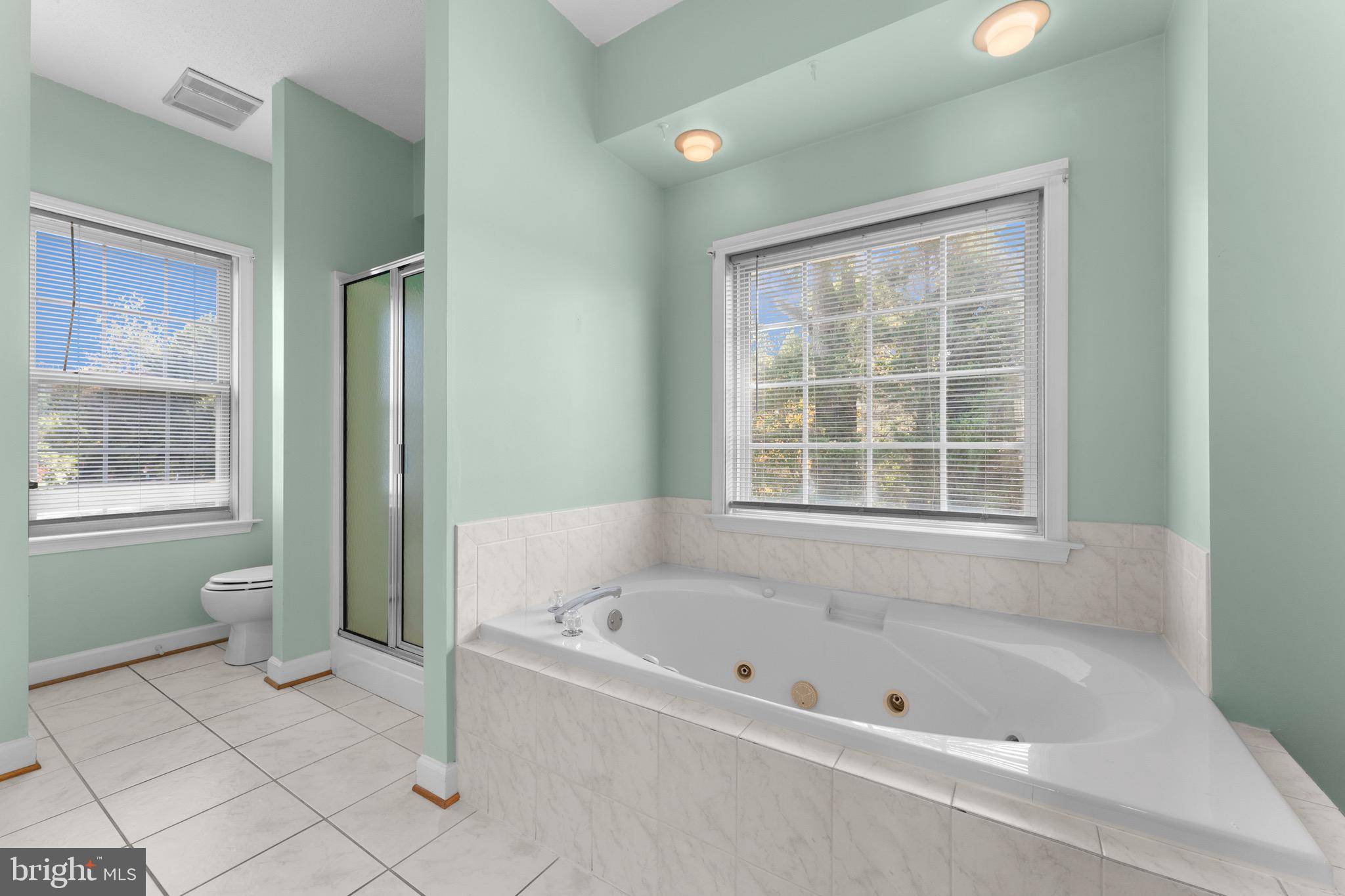 19065 Stallion Road Culpeper, VA 22701 - Photo 26 of 40 a bathroom with a bathtub and a shower