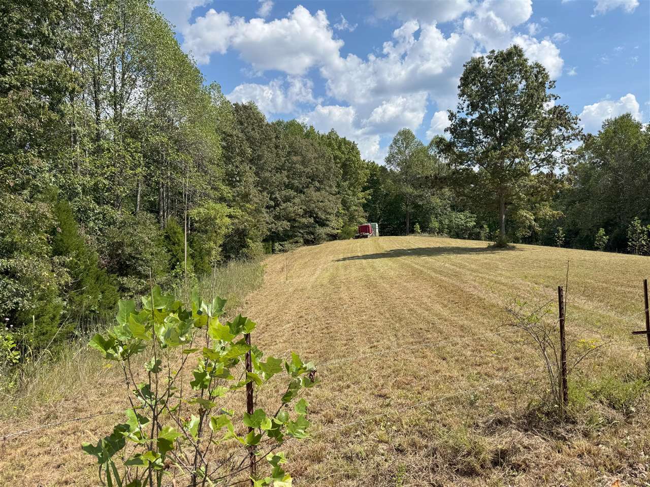 136 Snowbird Lane Bee Spring, KY 42207 - Photo 7 of 8 Gallery Image 7