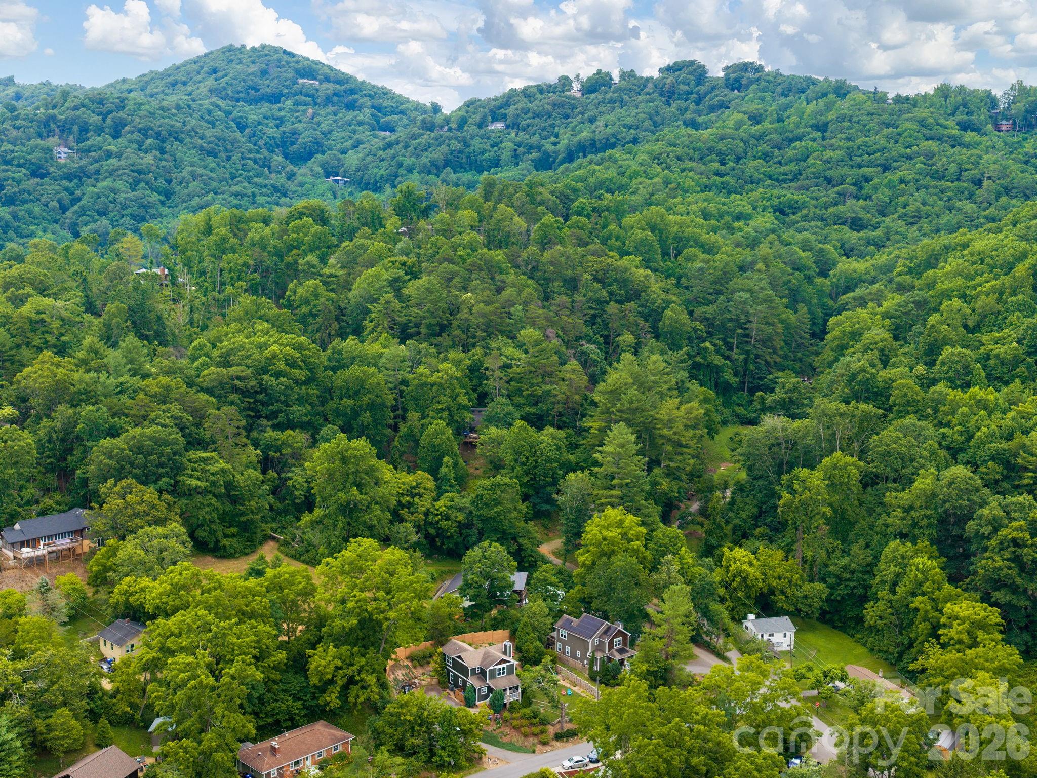 80 Bassett Road Asheville, NC 28804 - Photo 36 of 37