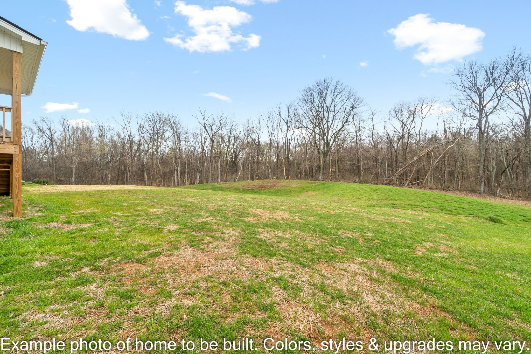 929 Inverness Lane Clarksville, TN 37043 - Photo 42 of 42 a view of a yard with a house