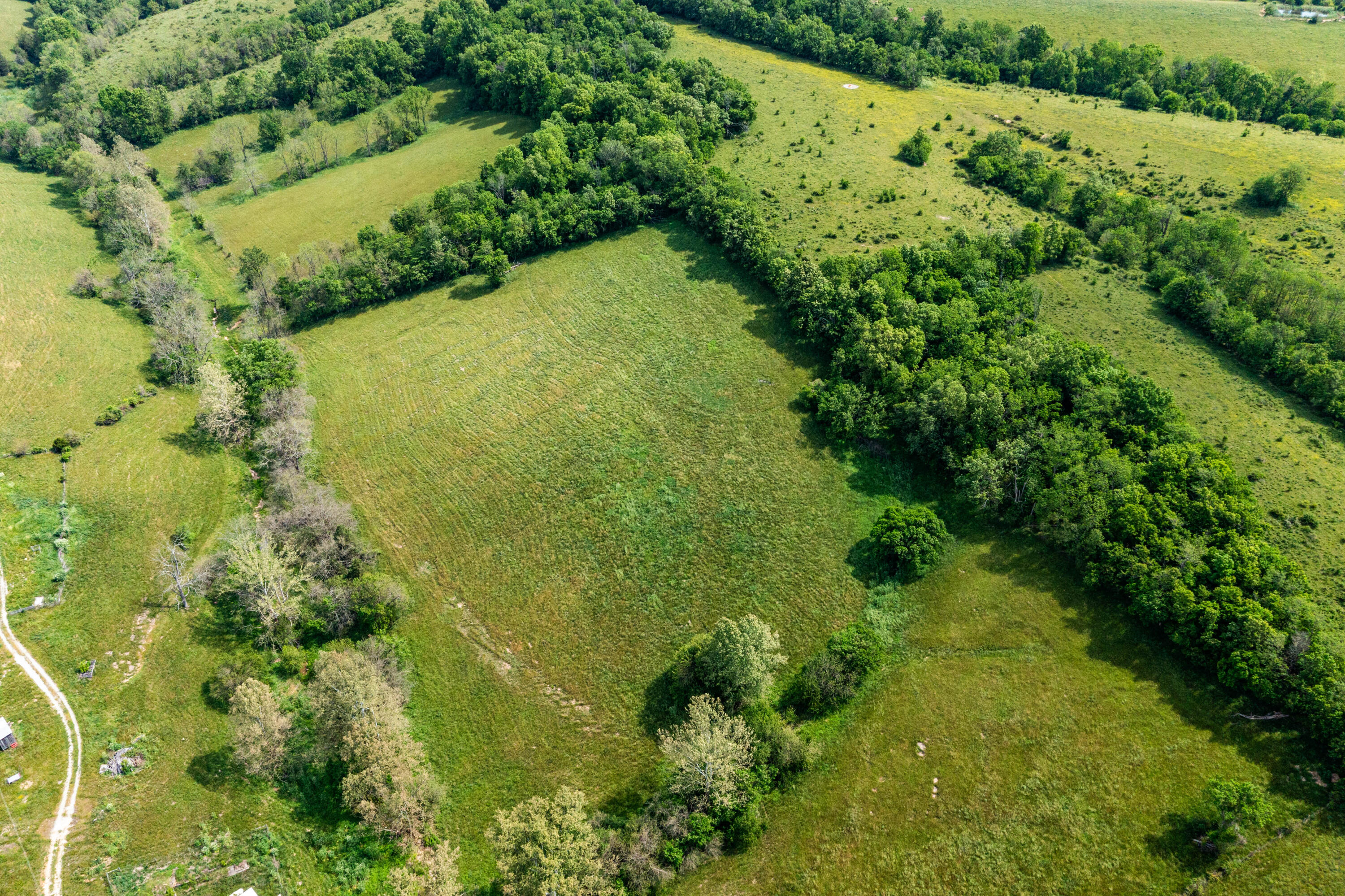 3020 Somerset Road Sharpsburg, KY 40374 - Photo 8 of 15 DJI_0019