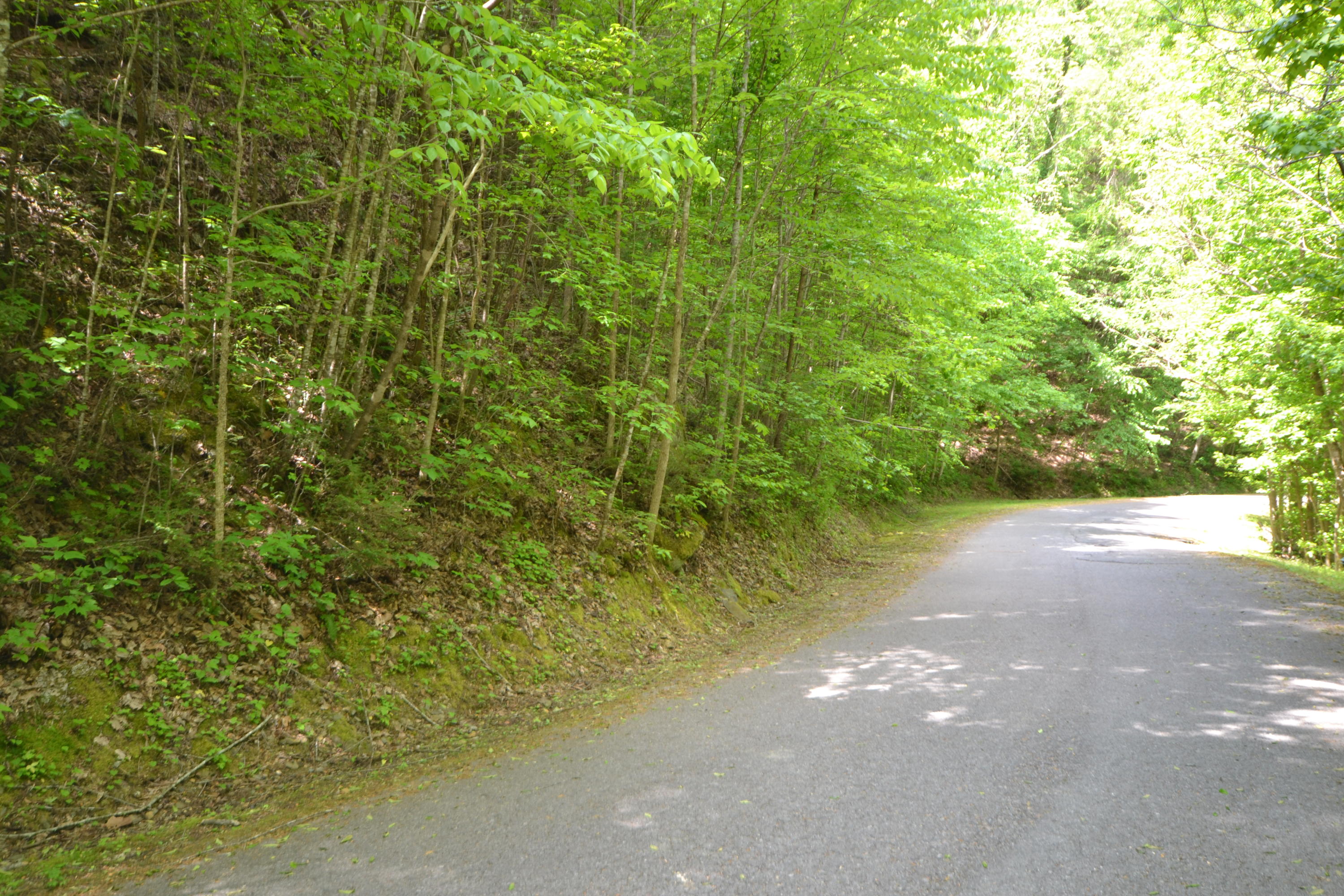 45-47 Riversong Way Sevierville, TN 37876 - Photo 2 of 8 Lot 45 - 47 - 2