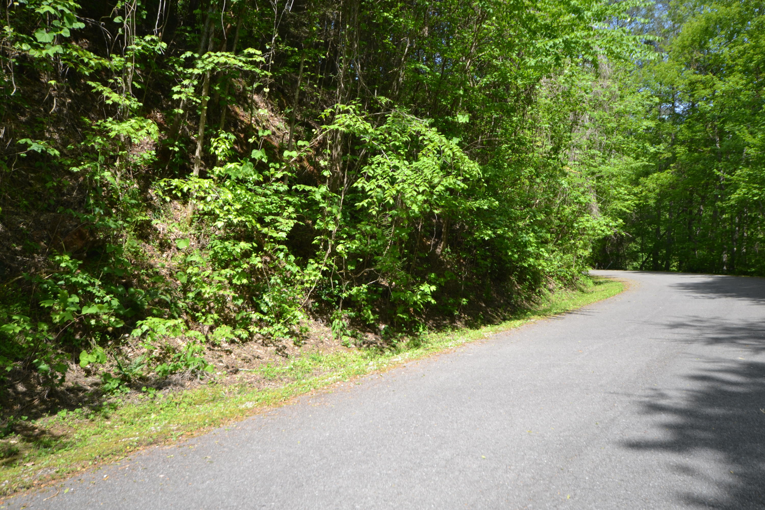 45-47 Riversong Way Sevierville, TN 37876 - Photo 3 of 8 Lot 45-17 - 1