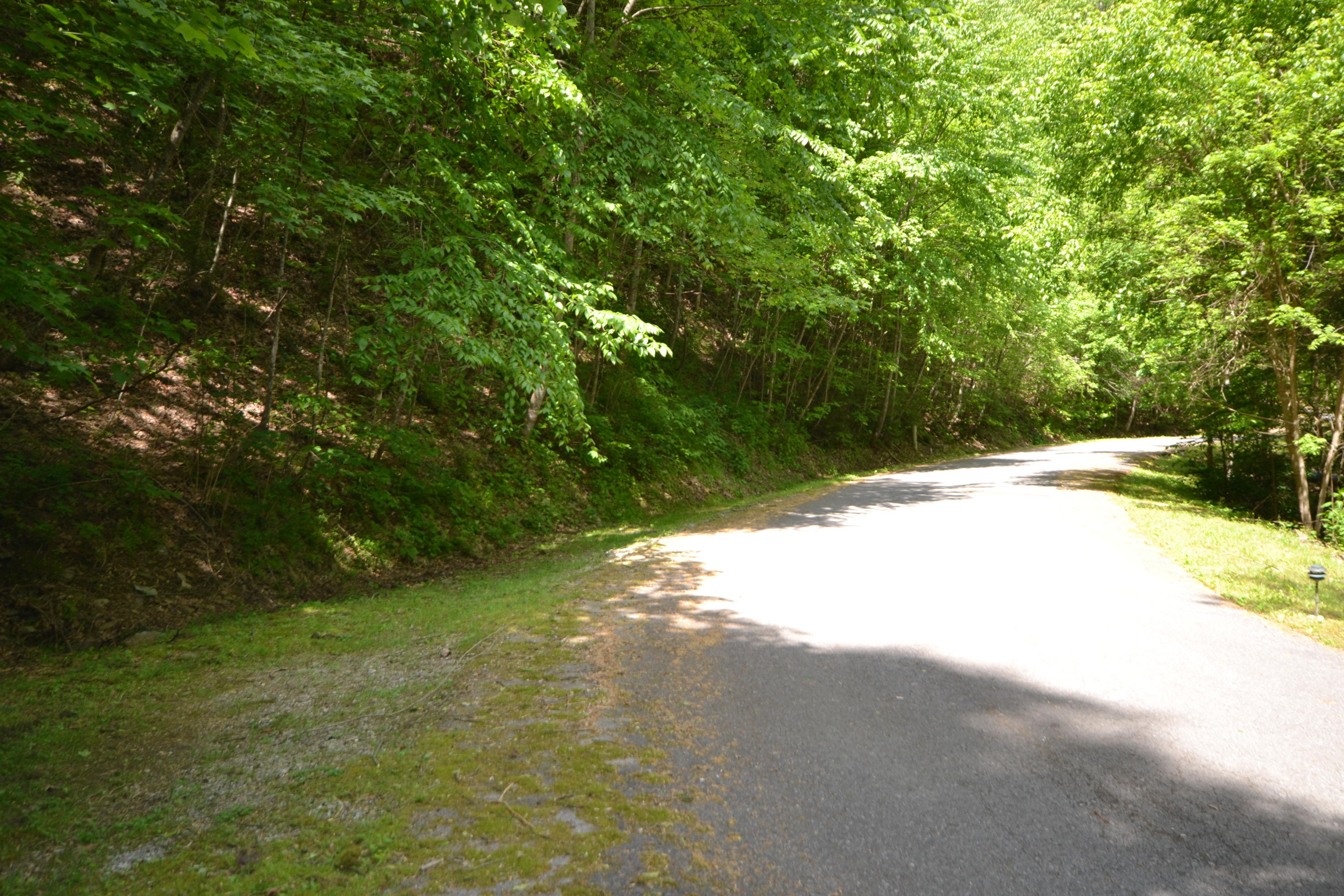 45-47 Riversong Way Sevierville, TN 37876 - Photo 4 of 8 Lot 45-47 - 3