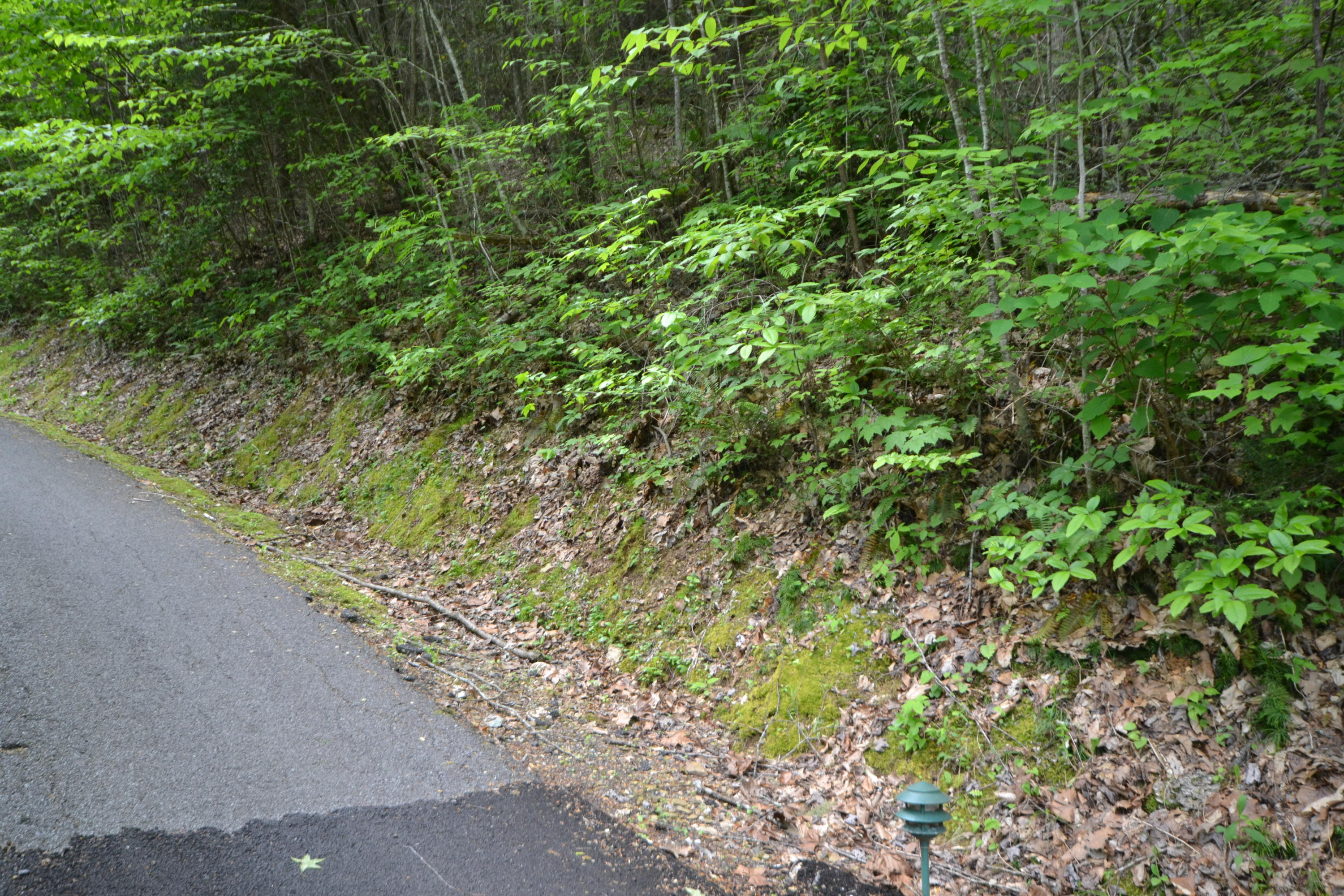 45-47 Riversong Way Sevierville, TN 37876 - Photo 5 of 8 LOts 45-47 - 4