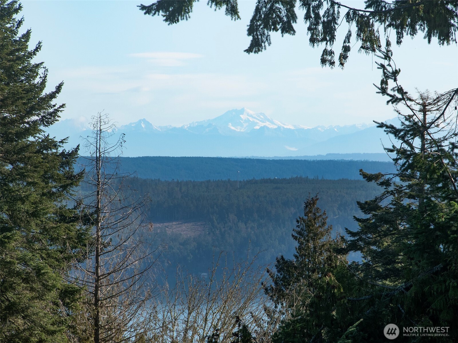 9999 Doe Run Road Sequim, WA 98382 - Photo 13 of 36 a view of lake with mountain