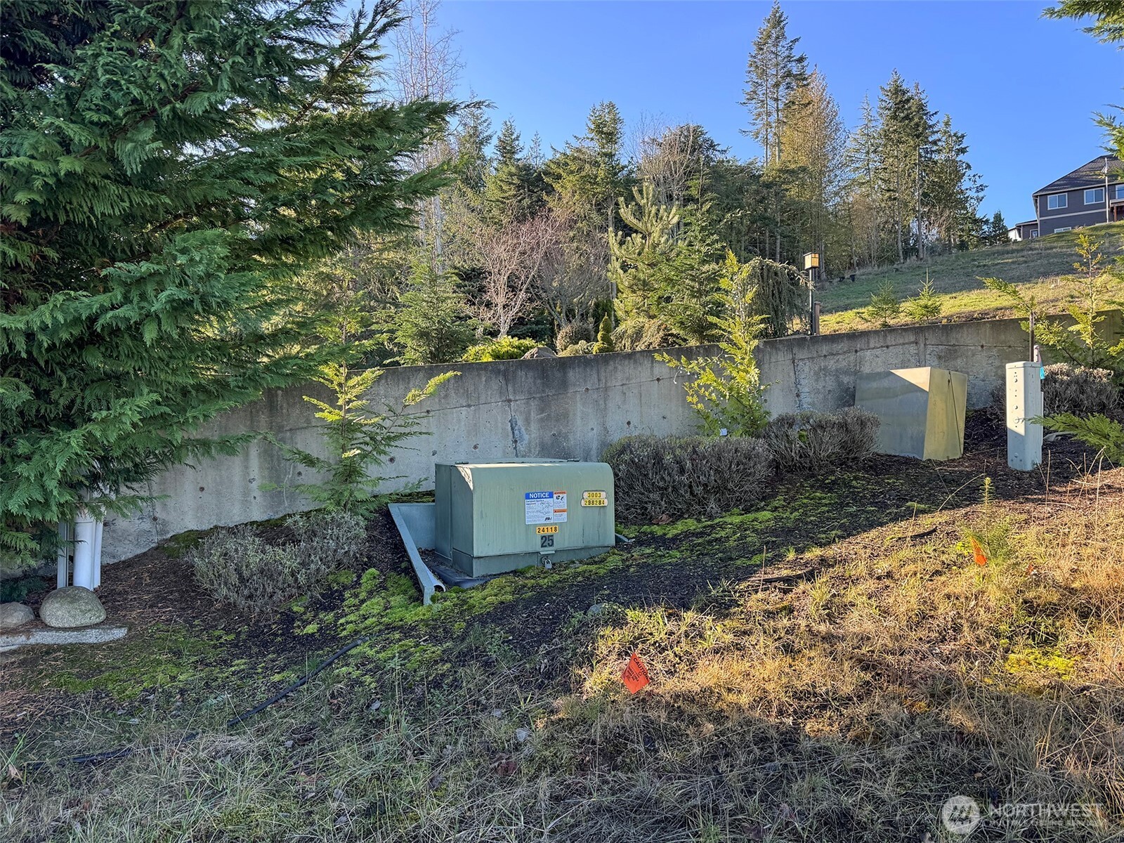 9999 Doe Run Road Sequim, WA 98382 - Photo 15 of 36 a backyard of a house with lots of green space