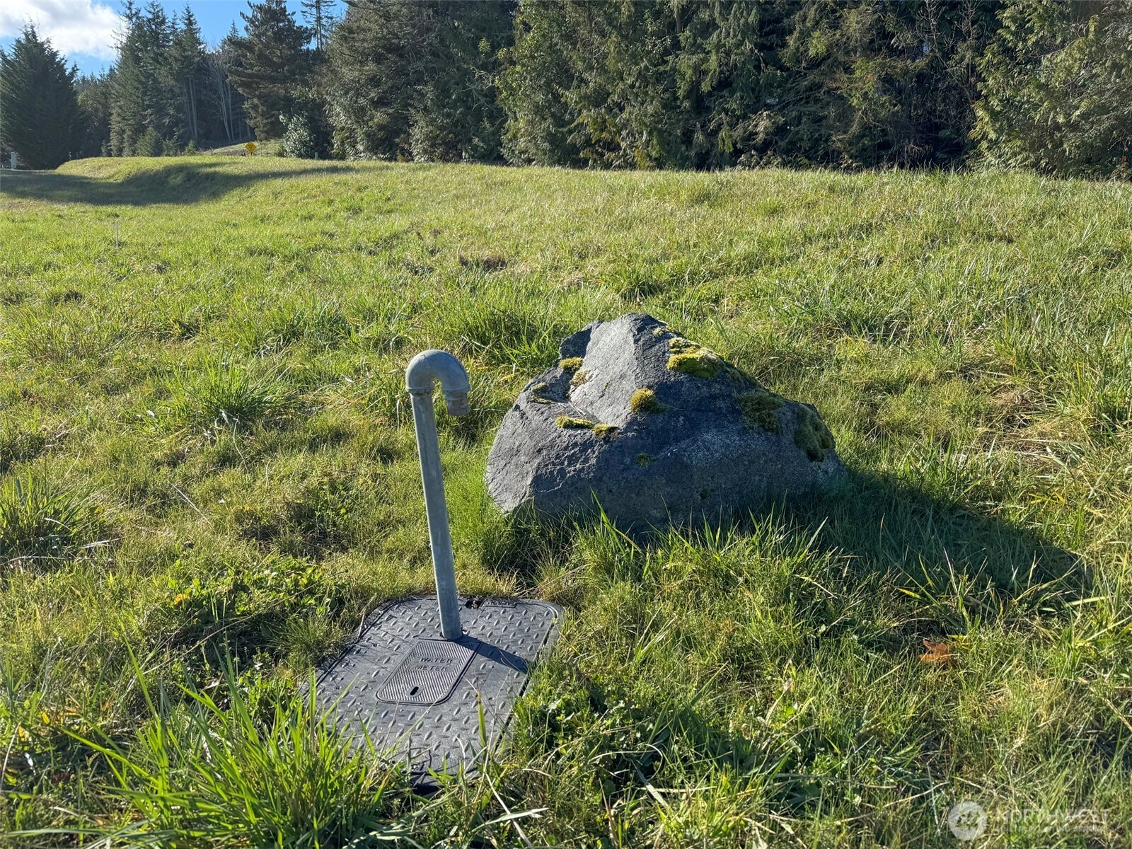 9999 Doe Run Road Sequim, WA 98382 - Photo 16 of 36 a view of a garden