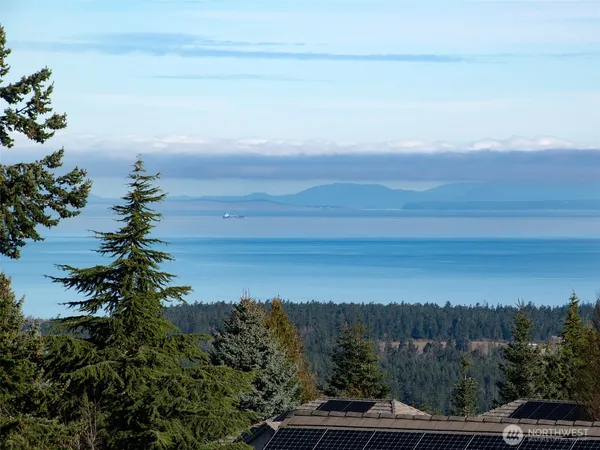 a view of a backyard and ocean view