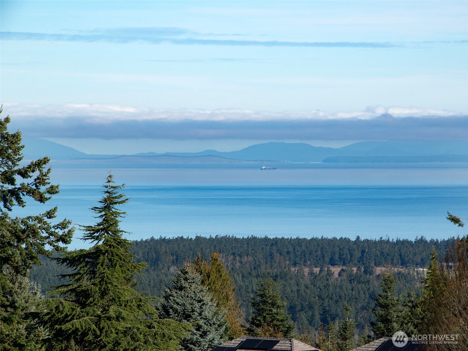 9999 Doe Run Road Sequim, WA 98382 - Photo 30 of 36 a view of lake with mountain