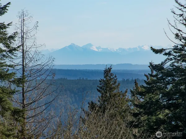 a view of a lake with a city