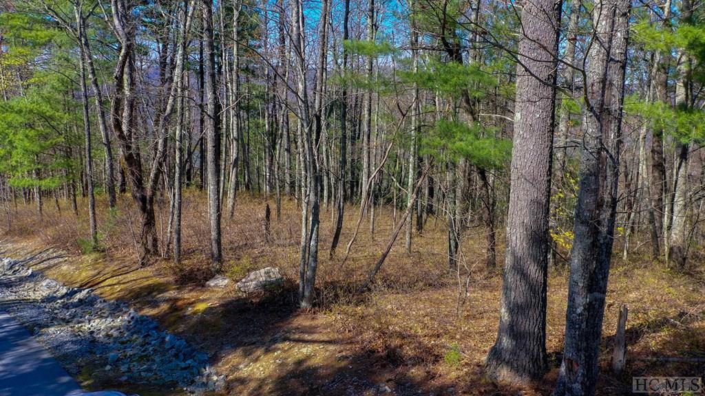 Lot 51 Ledgeview Road Cashiers, NC 28717 - Photo 2 of 15 Gallery Image 2