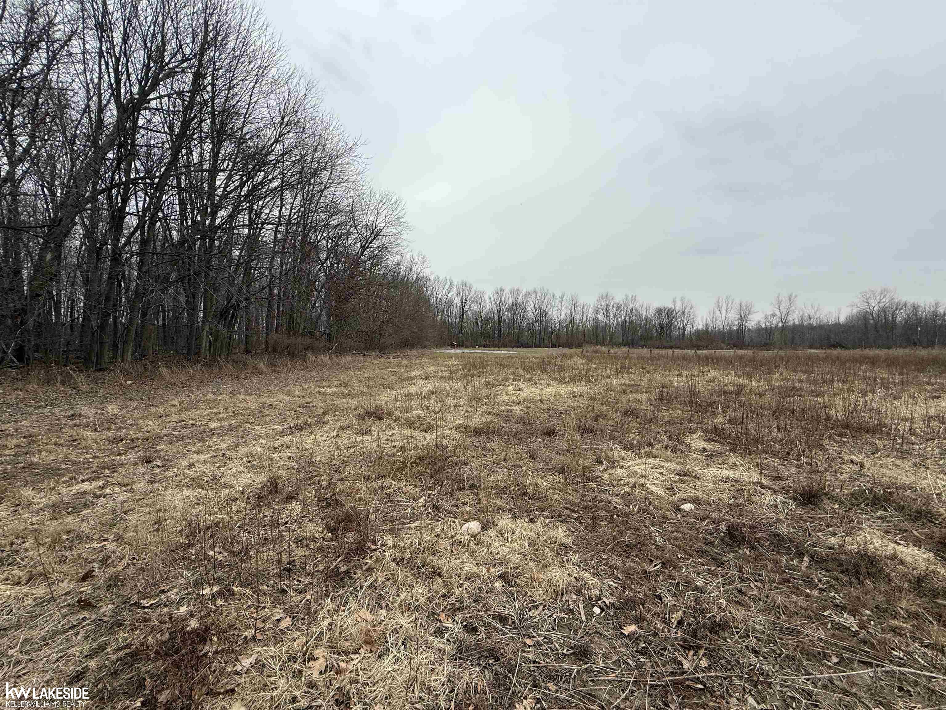 0 Cove Road Goodells, MI 48027 - Photo 17 of 25
