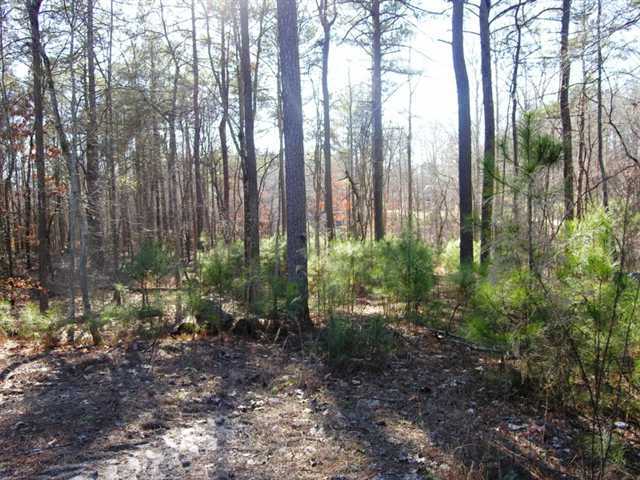 3745 Watson Fain Road, Unit 4 Loganville, GA 30052 - Photo 1 of 1 Gallery Image 1