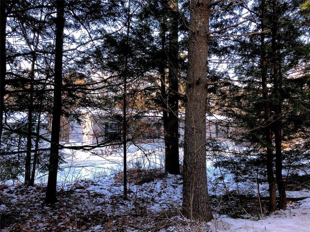 232 Lower Cross Road Nobleboro, ME 04555 - Photo 3 of 19 Photo