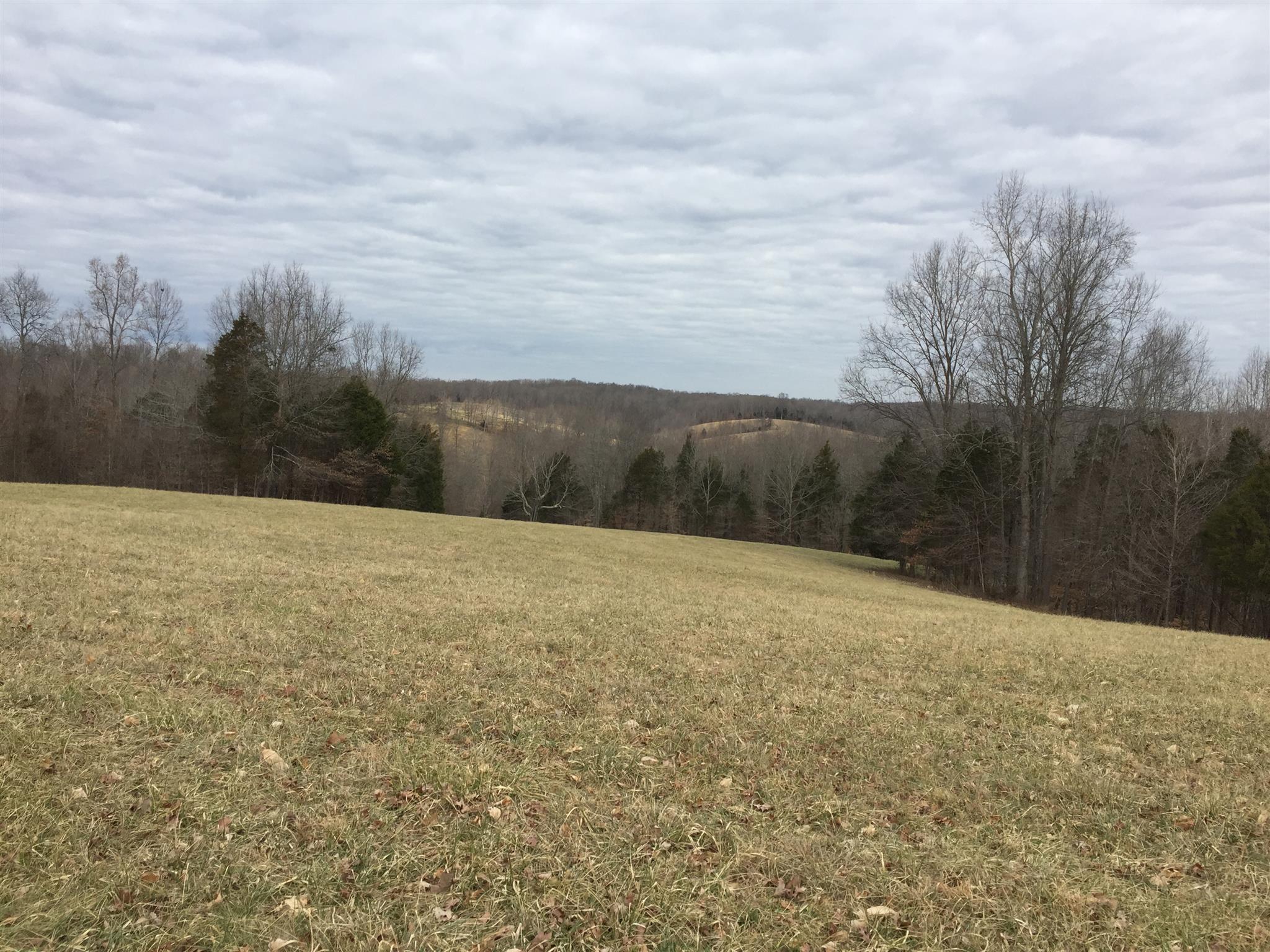 102 Wiggs Branch Road Erin, TN 37061 - Photo 1 of 3 Gallery Image 1